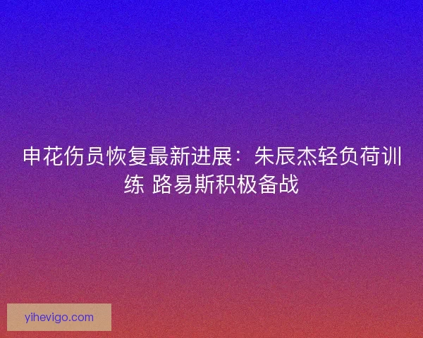 申花伤员恢复最新进展：朱辰杰轻负荷训练 路易斯积极备战